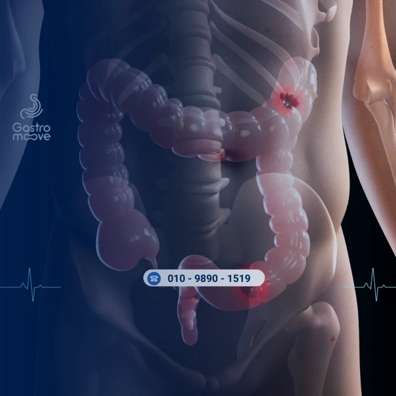 و ظيفة الجهاز الهضمي