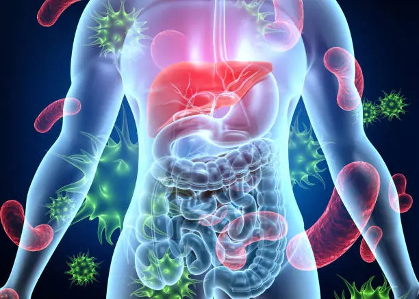 الامراض المناعية التي تصيب الجهاز الهضمي