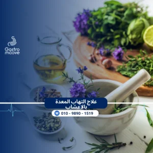 علاج التهاب المعدة بالاعشاب