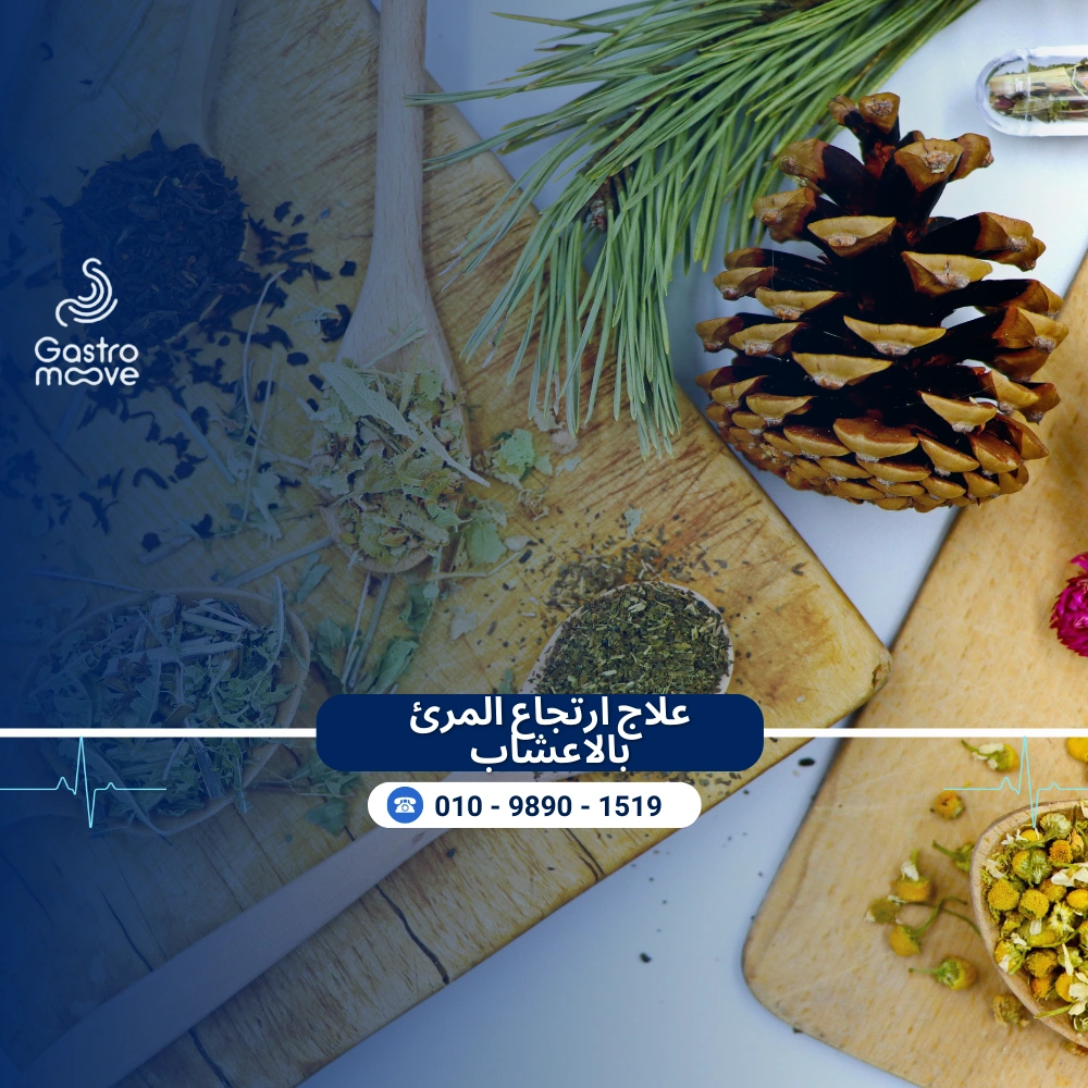 علاج ارتجاع المرئ بالاعشاب