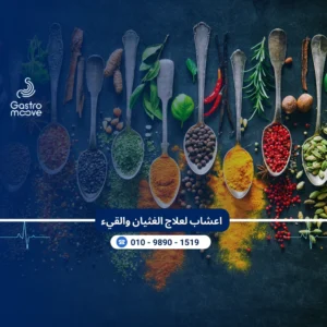 اعشاب لعلاج الغثيان والقيء