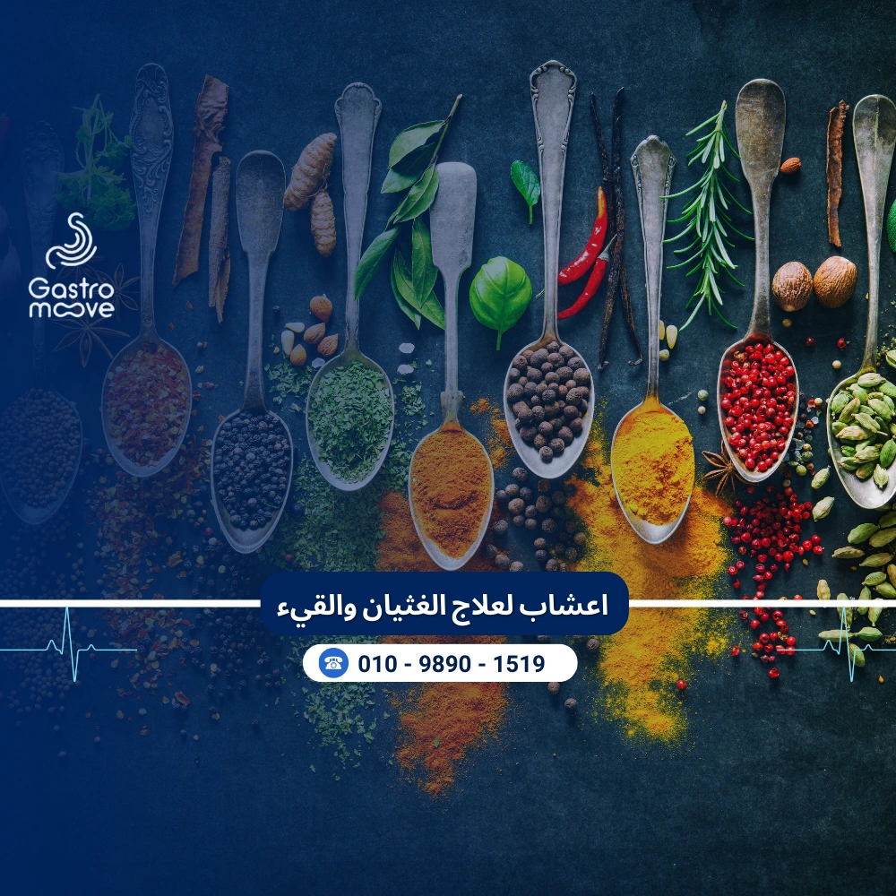 اعشاب لعلاج الغثيان والقيء