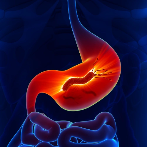 جرثومة المعدة